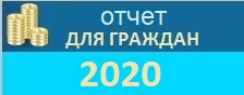 Отчет для граждан 2020